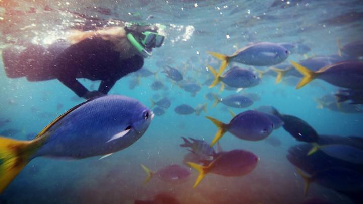 Best of Australia (G Adventures)