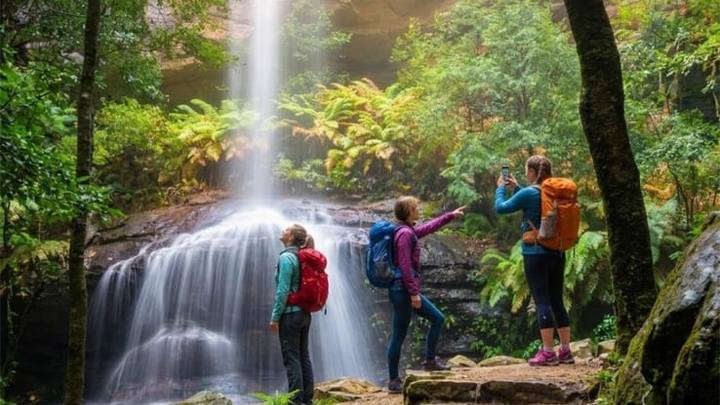 Blue Mountains Active Hike Tour from Sydney: No Rides