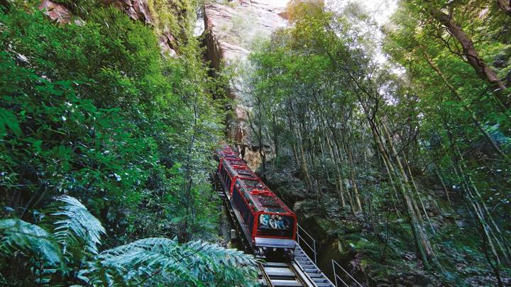 Blue Mountains Adventure: Scenic World, Zoo & Koala Photo (Wine Hop And Coastal Tours)