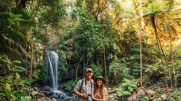 From Brisbane: Private Hinterland Nature Tour with Meal