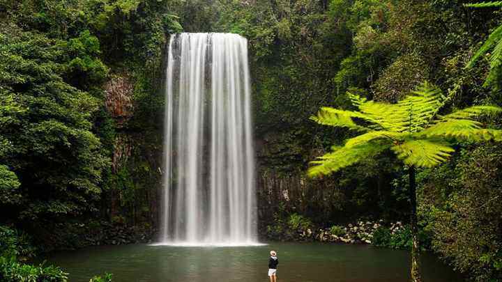 Brisbane to Cairns Adventure (Intrepid Travel)
