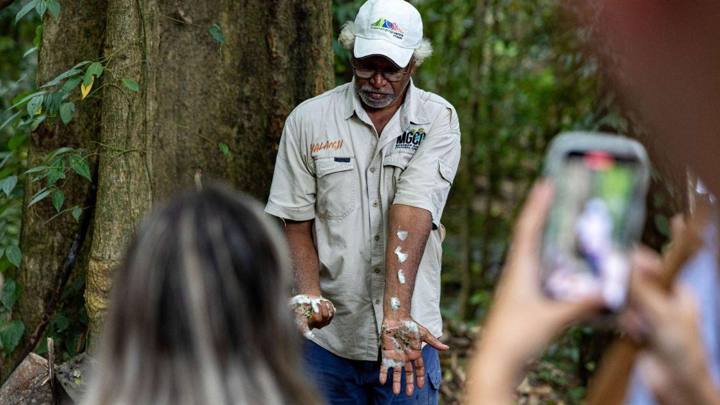 Daintree Rainforest & Mossman Gorge Tour (Cairns Adventure Group)