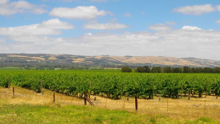 Casa Aqua McLaren Vale (entire home)