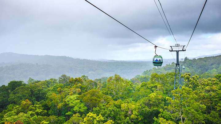 Daintree & Cape Tribulation Adventure (Intrepid Travel)