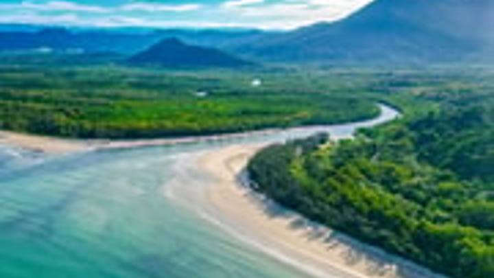Daintree & Mossman Gorge: Indigenous Custodian-Led Day Tour (Bama Bubu Cultural Tours)