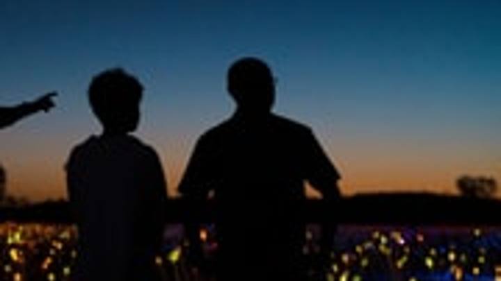 Uluru: Field of Light Sunrise Tour with Hot Drinks (AAT Kings)