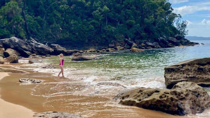 Sydney: Ku-ring-gai Chase Private Tour with Bushwalk & Swim
