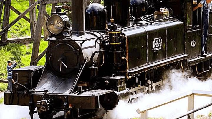 Puffing Billy Train and Penguin Island Day Tour (B&D Holiday)