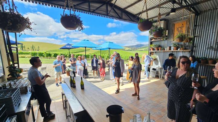 Yarra Valley Wine, Gin, Whisky & Chocolate Tour (Red Carpet Wine Tours)