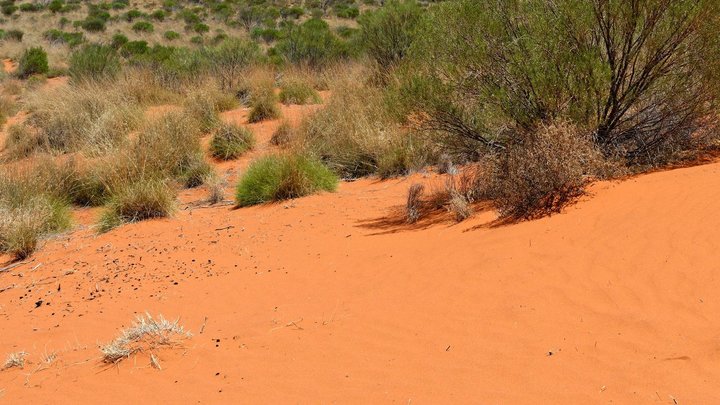 Jetstar: Sydney to Uluru
