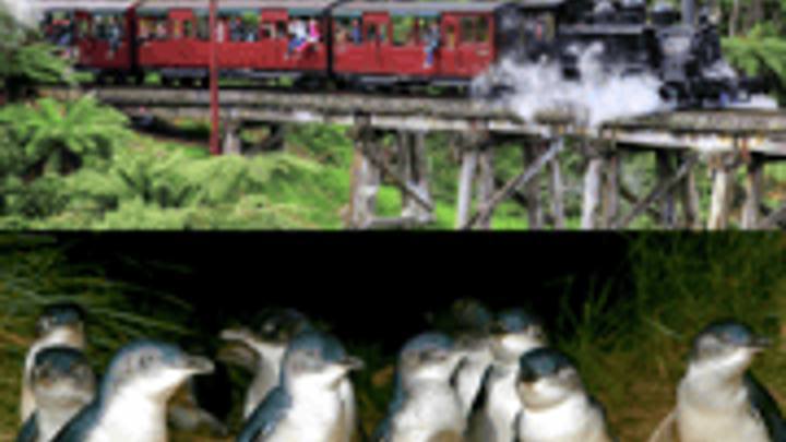 From Melbourne: Puffing Billy and Penguin Parade Combo Tour (Wine Hop And Coastal Tours)