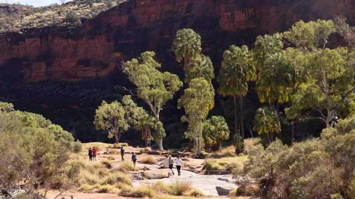 Red Centre & Uluru Explorer (Intrepid Travel)