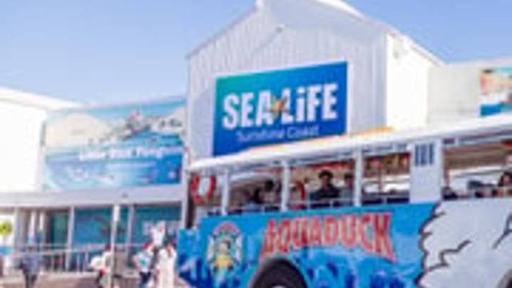 Sunshine Coast: 1-Hour Land and Water Tour (Aquaduck Safaris Gold Coast)