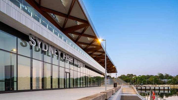Sydney Fish Market: Port to Plate Seafood Tour with Drink