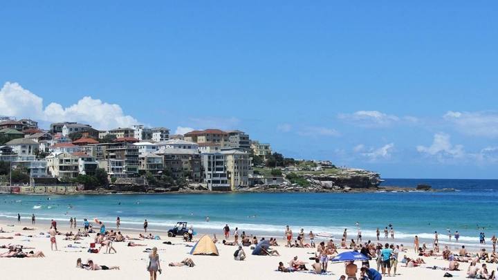 Sydney to Brisbane Experience: Bushwalks & Surfing (G Adventures)