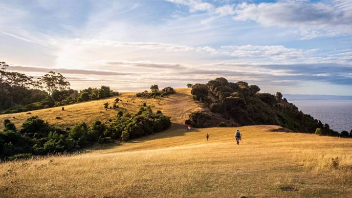 Tasmania's Maria Island Walk, Non-Portered (Intrepid Travel)